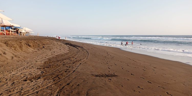 Guardavidas de UEPC Colima rescatan a dos personas en riesgo de ahogamiento, en Cuyutlán