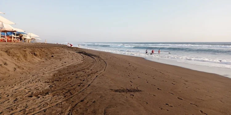 Guardavidas de UEPC Colima rescatan a dos personas en riesgo de ahogamiento, en Cuyutlán