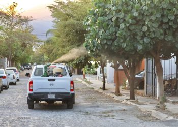 Este viernes, Salud Colima fumiga de nuevo en los 3 municipios más grandes