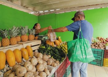 Regresan este domingo Las Pulgas y la Feria del Automóvil a su espacio habitual