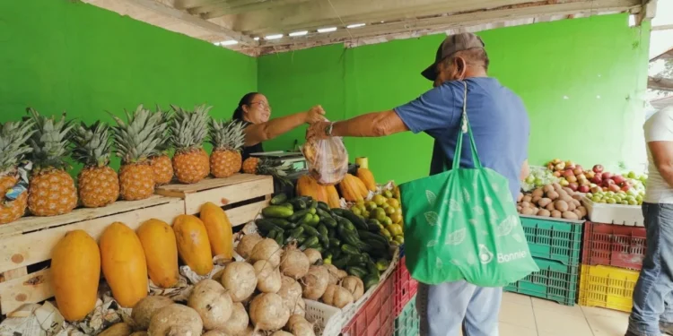 Regresan este domingo Las Pulgas y la Feria del Automóvil a su espacio habitual