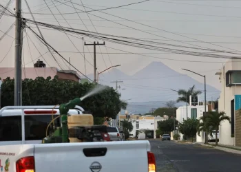 Salud Colima fumiga contra el dengue en 71 colonias de cinco municipios este lunes y martes