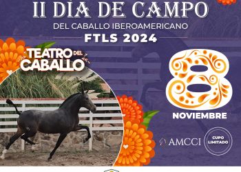 Este viernes será el ‘2º Día de Campo del Caballo Iberoamericano’