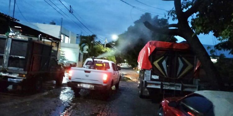 Este jueves, Secretaría de Salud fumiga contra el dengue en Colima, Tecomán y Manzanillo