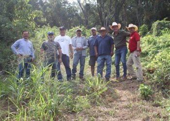 Subseder se reúne con productores de mango en Manzanillo; supervisan operación de infraestructura