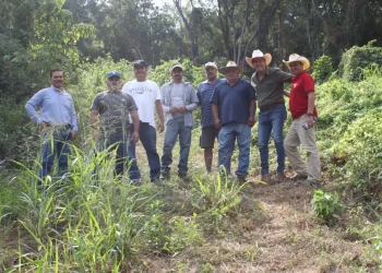 Subseder se reúne con productores de mango en Manzanillo; supervisan operación de infraestructura