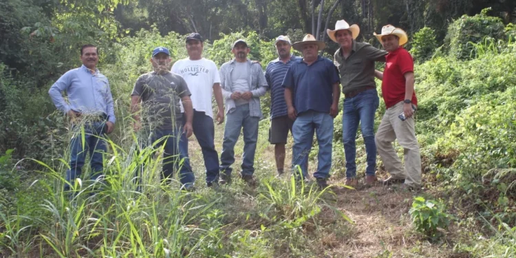Subseder se reúne con productores de mango en Manzanillo; supervisan operación de infraestructura