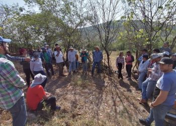 Participa UIC Comala en Encuentro Regional Ecoversidades 2024 en El Limón, Jalisco