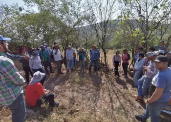 Participa UIC Comala en Encuentro Regional Ecoversidades 2024 en El Limón, Jalisco