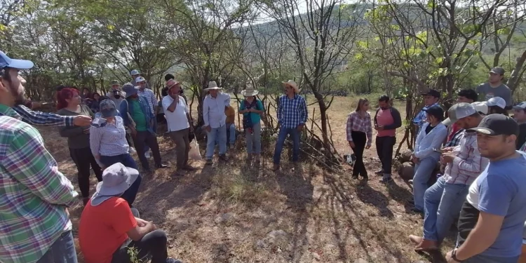 Participa UIC Comala en Encuentro Regional Ecoversidades 2024 en El Limón, Jalisco