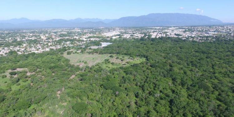 Imades: Colima se posiciona en la lucha contra el cambio climático, a través de la reforma a la Ley de Hacienda