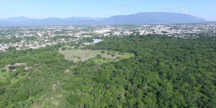 Imades: Colima se posiciona en la lucha contra el cambio climático, a través de la reforma a la Ley de Hacienda