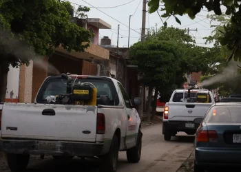 Este jueves, Salud Colima fumiga contra el dengue en Manzanillo y La Villa