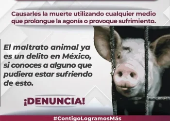 ¡Di NO al maltrato animal! FGE