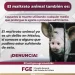 ¡Di NO al maltrato animal! FGE