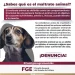 ¿Sabes que es el maltrato animal?FGE