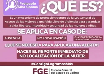 ¿QUE ES EL “PROTOCOLO ALBA COLIMA”?