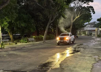 Este viernes, Salud Colima fumiga contra el dengue en Manzanillo y La Villa