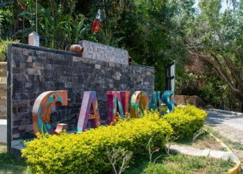 Turismo Colima y Conanp capacitarán a ejidos y tour operadores para el manejo de Áreas Naturales Protegidas