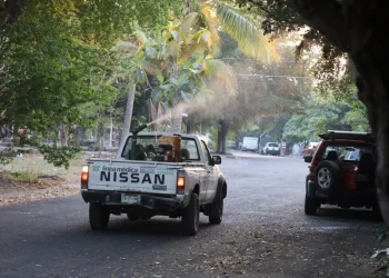 Intensifica Salud Colima fumigación contra dengue en Manzanillo y Villa de Álvarez