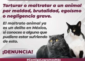 ¡El maltrato animal también es DELITO! FGE