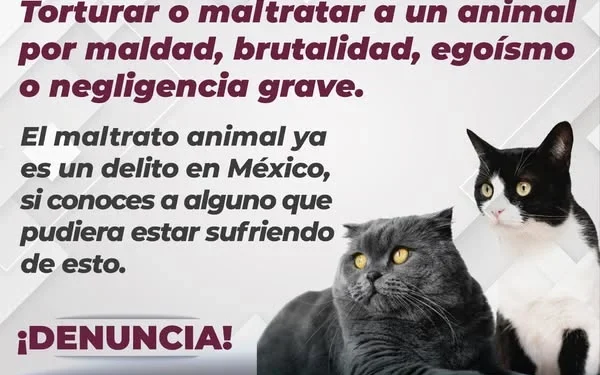 ¡El maltrato animal también es DELITO! FGE