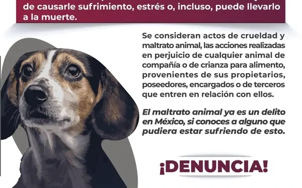 ¿Sabes qué es el maltrato animal? FGE