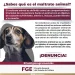 ¿Sabes qué es el maltrato animal? FGE