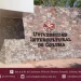 Universidad Intercultural de Colima abre Proceso de Admisión 2025-2026