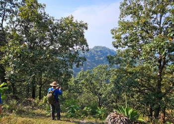 Colima mejora en calidad de vida y medio ambiente, revela estudio del IMCO
