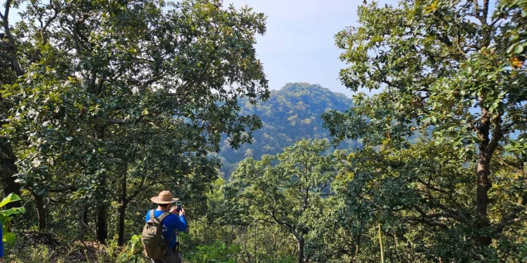 Colima mejora en calidad de vida y medio ambiente, revela estudio del IMCO