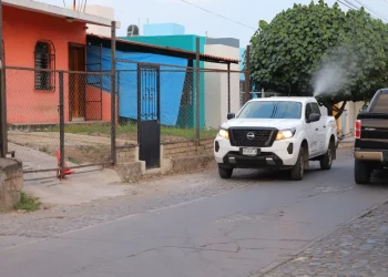 Salud Colima refuerza la fumigación contra dengue en los mismos sitios de Manzanillo y en La Albarrada
