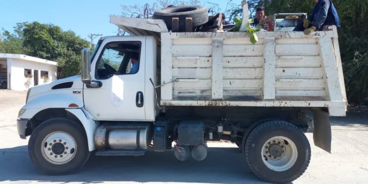 MANZANILLO REFUERZA LA LUCHA CONTRA EL DENGUE: MÁS DE 2.6 TONELADAS DE CACHARROS ELIMINADOS EN MARIMAR