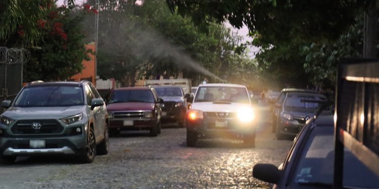 Salud Colima fumiga contra el dengue este viernes en Manzanillo y Villa de Álvarez