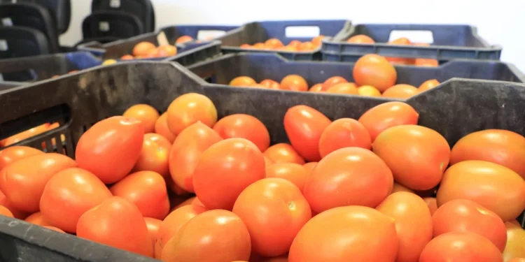 DIF Estatal Colima lleva alimentos gratuitos a más de 7,600 personas en Manzanillo