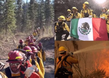 Bomberos mexicanos llegan a Los Ángeles, California, para apoyar en la lucha contra los incendios.