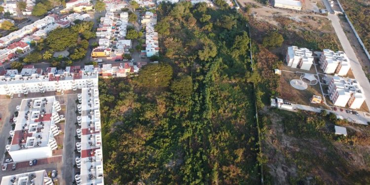 ROSI BAYARDO CELEBRA EL NÚMERO DE VIVIENDAS PARA EL BIENESTAR QUE SE CONSTRUIRÁN EN MANZANILLO