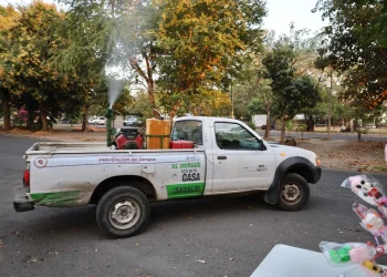 Salud Colima sigue fumigado contra dengue en Manzanillo y Villa de Álvarez