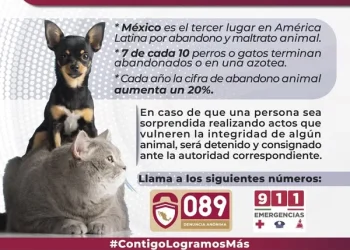 Campaña Contra el Maltrato Animal FGE