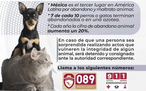 Campaña Contra el Maltrato Animal FGE
