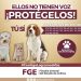 Ellos no tienen voz tú sí ¡PROTÉGELOS! FGE