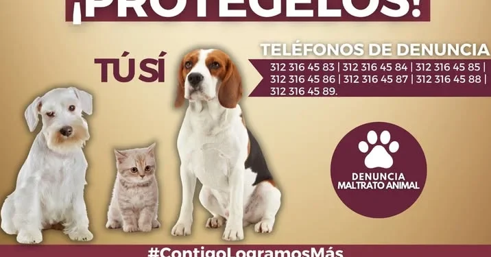 Ellos no tienen voz tú sí ¡PROTÉGELOS! FGE