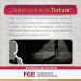 ¿Sabes que es la tortura?FGE