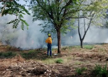 Subseder se reúne con brigadas que combaten incendios forestales en Colima
