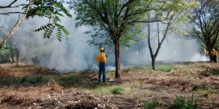 Subseder se reúne con brigadas que combaten incendios forestales en Colima