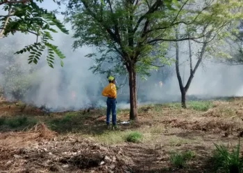Subseder se reúne con brigadas que combaten incendios forestales en Colima