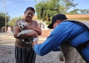 Vacuna antirrábica protege a población y mascotas contra la rabia: Salud Colima