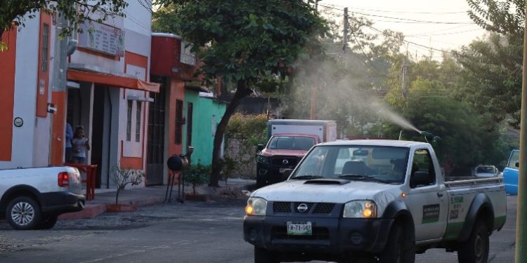 Consolida Salud Colima el control del dengue en Manzanillo