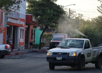 Consolida Salud Colima el control del dengue en Manzanillo