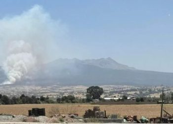 Se registra fuerte incendio forestal en el Nevado de Toluca, Edomex; bomberos intentan sofocarlo